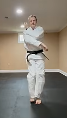 Online Shotokan Karate Drills